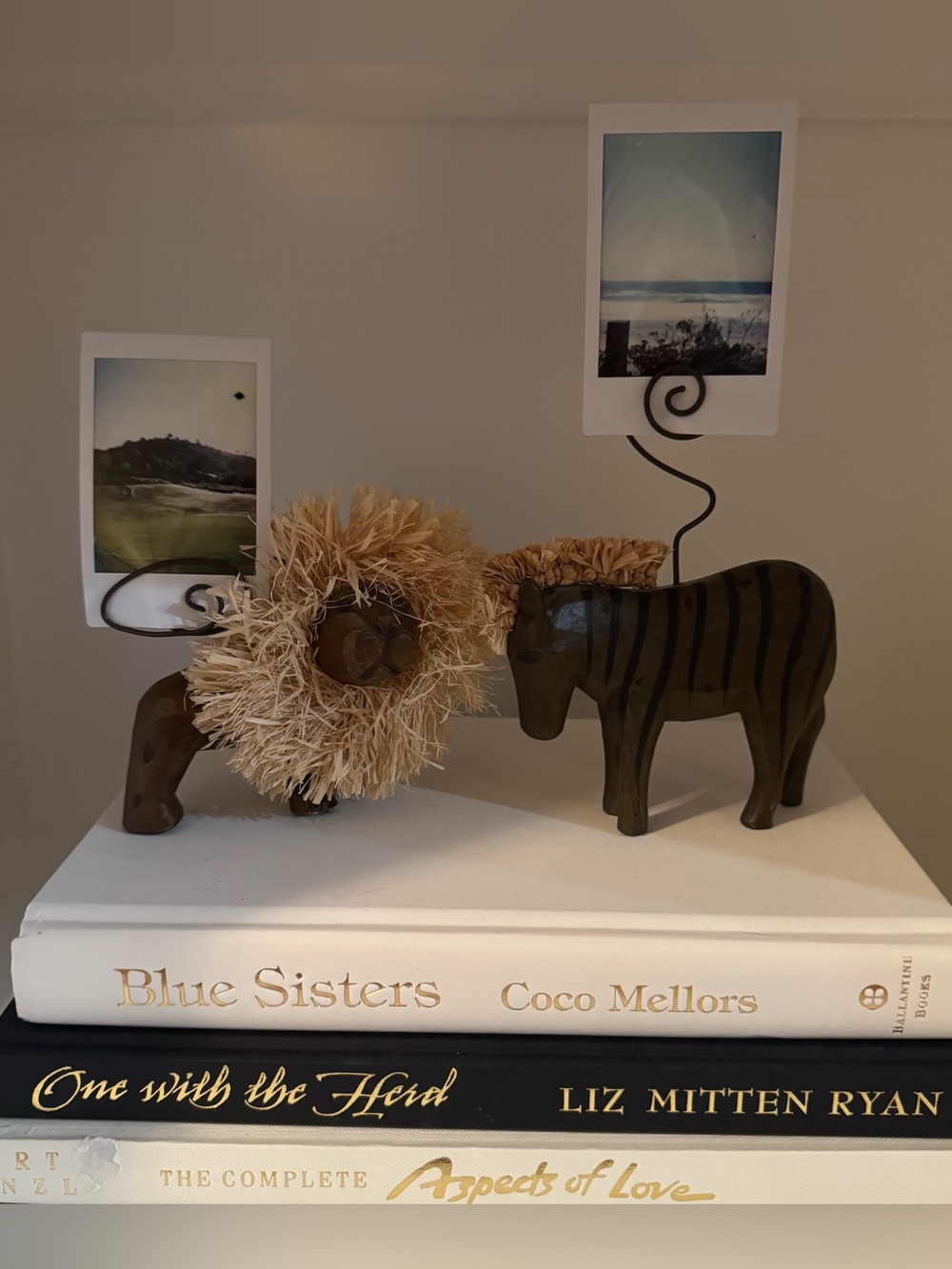 Zebra & Lion Photo/Postcard Holder Set